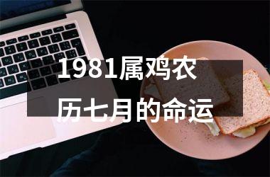 1981属鸡农历七月的命运