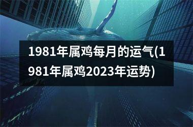 1981年属鸡每月的运气(1981年属鸡2025年运势)