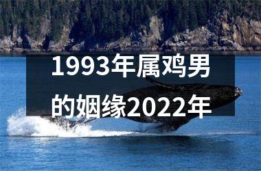 1993年属鸡男的姻缘2025年