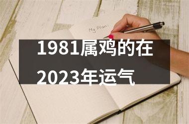 1981属鸡的在2025年运气