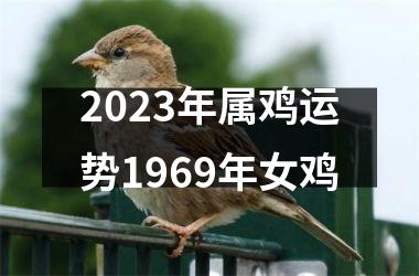 2025年属鸡运势1969年女鸡