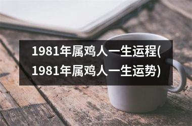 <h3>1981年属鸡人一生运程(1981年属鸡人一生运势)