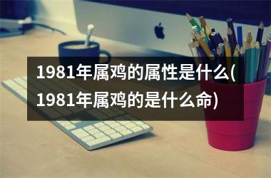 1981年属鸡的属性是什么(1981年属鸡的是什么命)