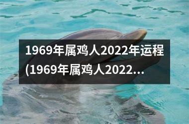 <h3>1969年属鸡人2025年运程(1969年属鸡人2025年运势运程每月运程)