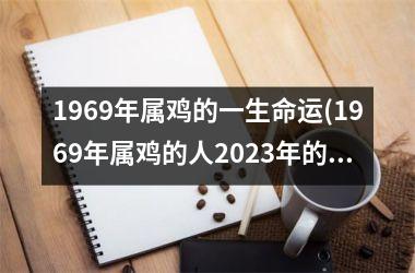 1969年属鸡的一生命运(1969年属鸡的人2025年的运势及运程)