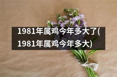 <h3>1981年属鸡今年多大了(1981年属鸡今年多大)