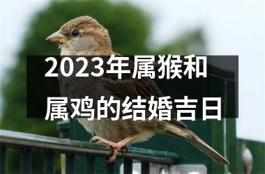 <h3>2025年属猴和属鸡的结婚吉日