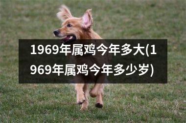 1969年属鸡今年多大(1969年属鸡今年多少岁)