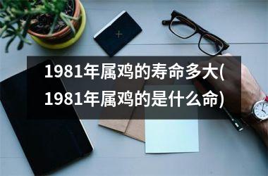 1981年属鸡的寿命多大(1981年属鸡的是什么命)