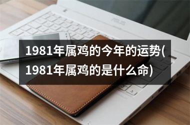 <h3>1981年属鸡的今年的运势(1981年属鸡的是什么命)