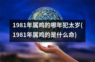 1981年属鸡的哪年犯太岁(1981年属鸡的是什么命)