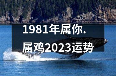 1981年属你.属鸡2025运势