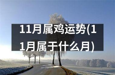 11月属鸡运势(11月属于什么月)