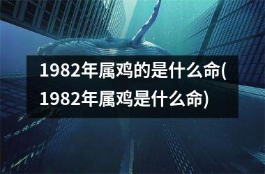 1982年属鸡的是什么命(1982年属鸡是什么命)