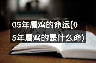 05年属鸡的命运(05年属鸡的是什么命)