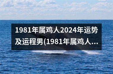 1981年属鸡人2024年运势及运程男(1981年属鸡人2024年运势及运程每月运程)