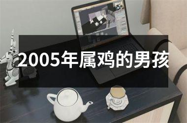 <h3>2005年属鸡的男孩