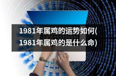 1981年属鸡的运势如何(1981年属鸡的是什么命)