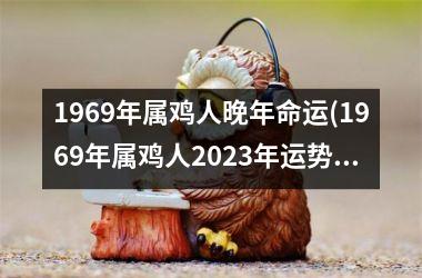 1969年属鸡人晚年命运(1969年属鸡人2025年运势运程每月运程)