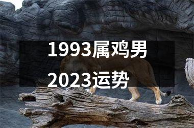 1993属鸡男2023运势