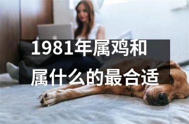 1981年属鸡和属什么的最合适