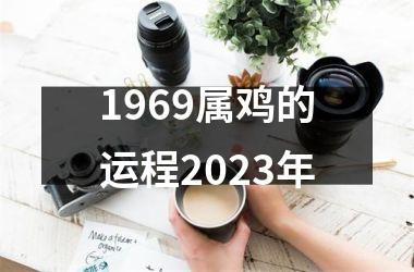 1969属鸡的运程2025年