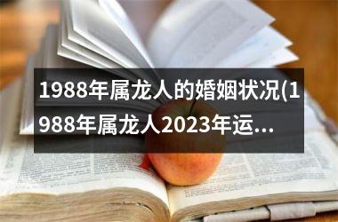 1988年属龙人的婚姻状况(1988年属龙人2025年运势)