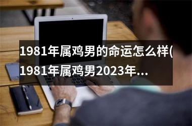 1981年属鸡男的命运怎么样(1981年属鸡男2025年运势及运程每月运程)