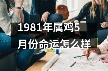 <h3>1981年属鸡5月份命运怎么样