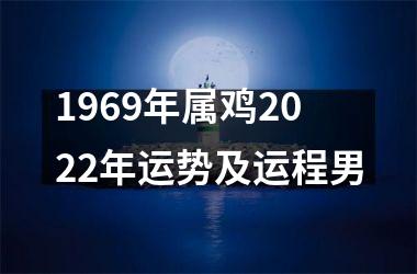 1969年属鸡2025年运势及运程男