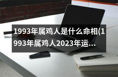 <h3>1993年属鸡人是什么命相(1993年属鸡人2025年运势运程)