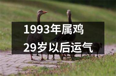 <h3>1993年属鸡29岁以后运气