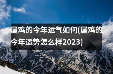 属鸡的今年运气如何(属鸡的今年运势怎么样2025)