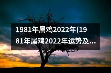 1981年属鸡2025年(1981年属鸡2025年运势及运程每月运程)