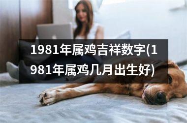 1981年属鸡吉祥数字(1981年属鸡几月出生好)