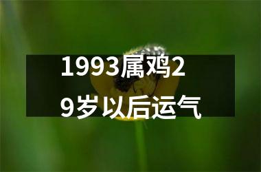 1993属鸡29岁以后运气