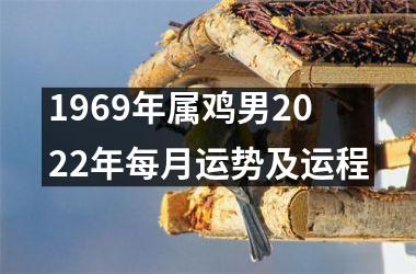 1969年属鸡男2025年每月运势及运程