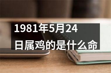 1981年5月24日属鸡的是什么命