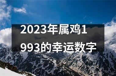 <h3>2025年属鸡1993的幸运数字