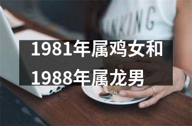 1981年属鸡女和1988年属龙男