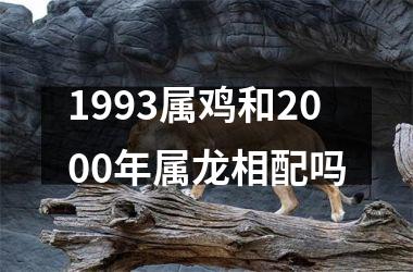 1993属鸡和2000年属龙相配吗