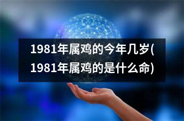 1981年属鸡的今年几岁(1981年属鸡的是什么命)