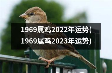 <h3>1969属鸡2025年运势(1969属鸡2025年运势)