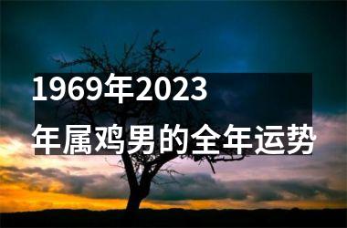 1969年2025年属鸡男的全年运势