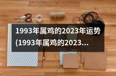 1993年属鸡的2025年运势(1993年属鸡的2025年合适做生意吗)