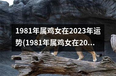 1981年属鸡女在2023年运势(1981年属鸡女在2024年的命运)