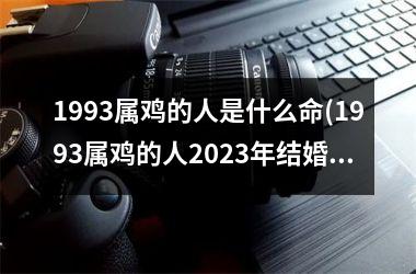 <h3>1993属鸡的人是什么命(1993属鸡的人2025年结婚日子)