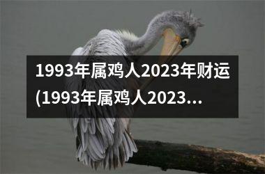 1993年属鸡人2025年财运(1993年属鸡人2025年运势运程)