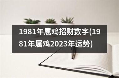 1981年属鸡招财数字(1981年属鸡2025年运势)