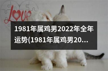 1981年属鸡男2025年全年运势(1981年属鸡男2025年运势及运程每月运程)